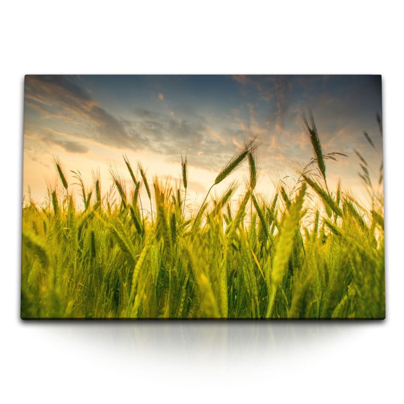 120x80cm Wandbild auf Leinwand Weizen Weizenfeld Sommer Sonnenuntergang