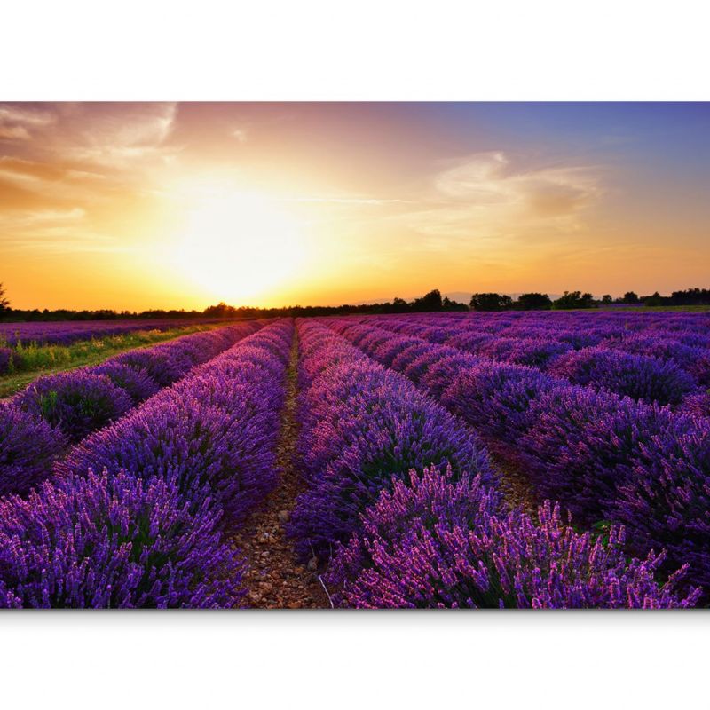 120x80cm Wandbild Frankreich Provence Lavendelfeld Sonnenuntergang