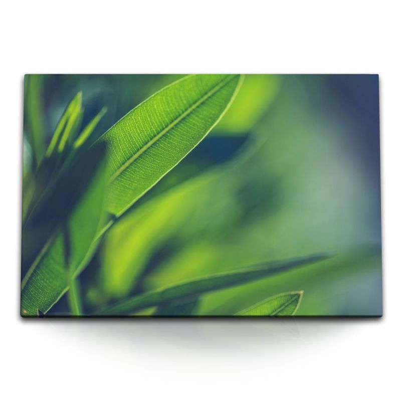 120x80cm Wandbild auf Leinwand Grüne Pflanzenblätter Nahaufnahme Natur Pflanze