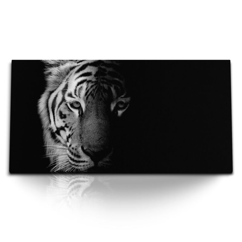 Kunstdruck Bilder 120x60cm Tiger Porträt Raubkatze Raubtier Schwarz Weiß