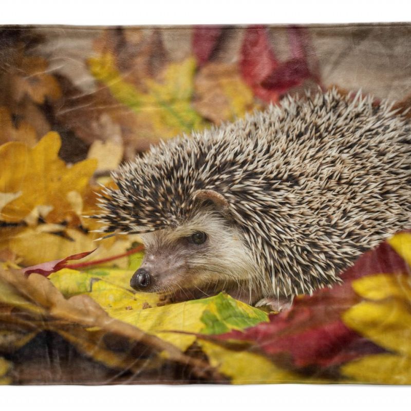 Handtuch Strandhandtuch Saunatuch Kuscheldecke  mit Tiermotiv Igel Herbstblätter