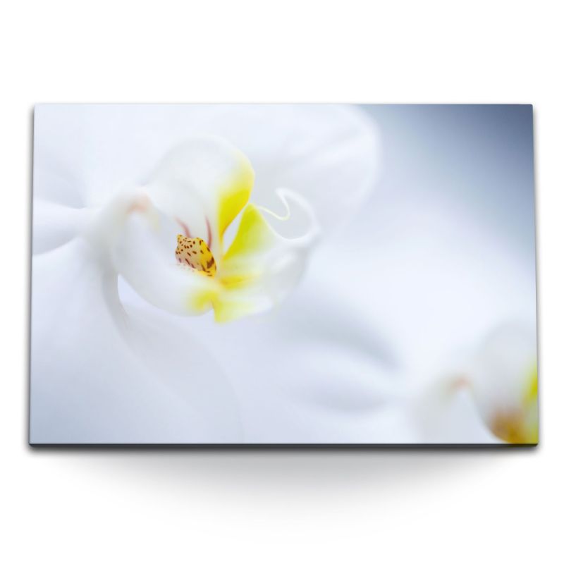 120x80cm Wandbild auf Leinwand Weiße Orchidee Blume Blüte Nahaufnahme Hell