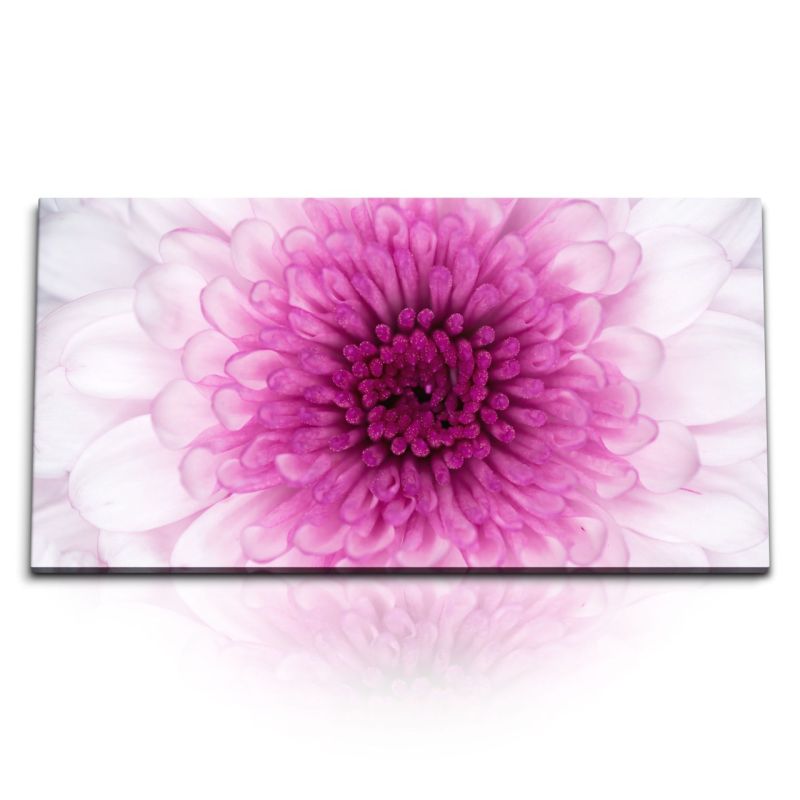 Kunstdruck Bilder 120x60cm Fotokunst Makrofotografie Rosa Blume Blüte