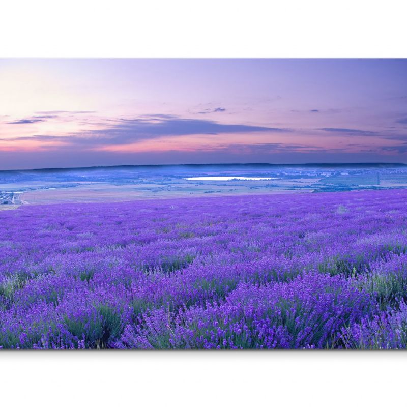 120x80cm Wandbild Lavendel Wiese Abendrot