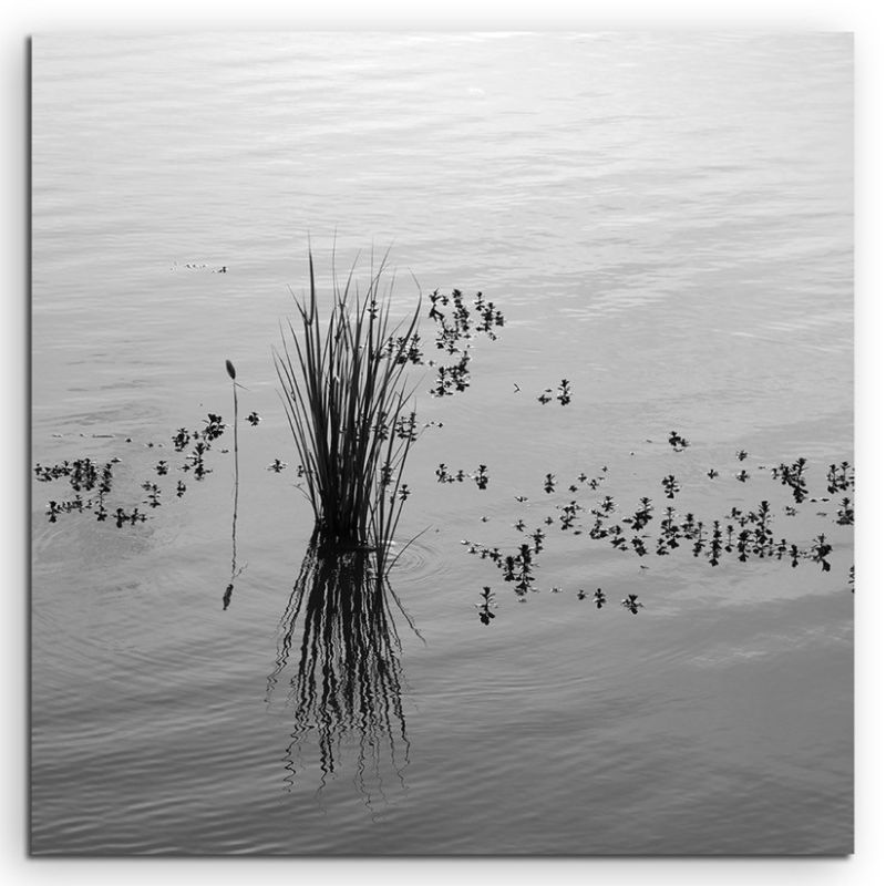 Naturfotografie –  Schilf im Wasser auf Leinwand