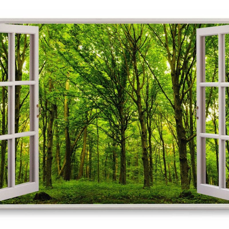 Wandbild 120x80cm Fensterbild Wald Grün Bäume Natur grünes Licht