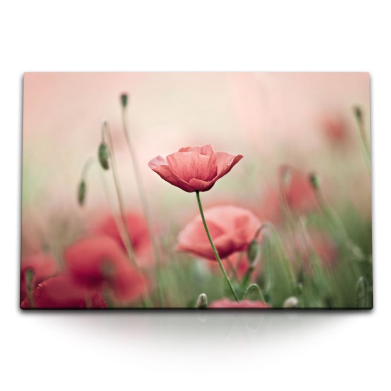 120x80cm Wandbild auf Leinwand Mohnblume Wildblume Feldblume rote Blüte Natur