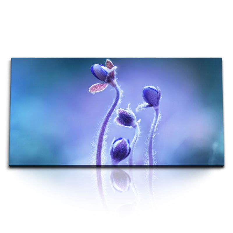 Kunstdruck Bilder 120x60cm Blumen Blumenknospe Blau Hellblau Fotokunst