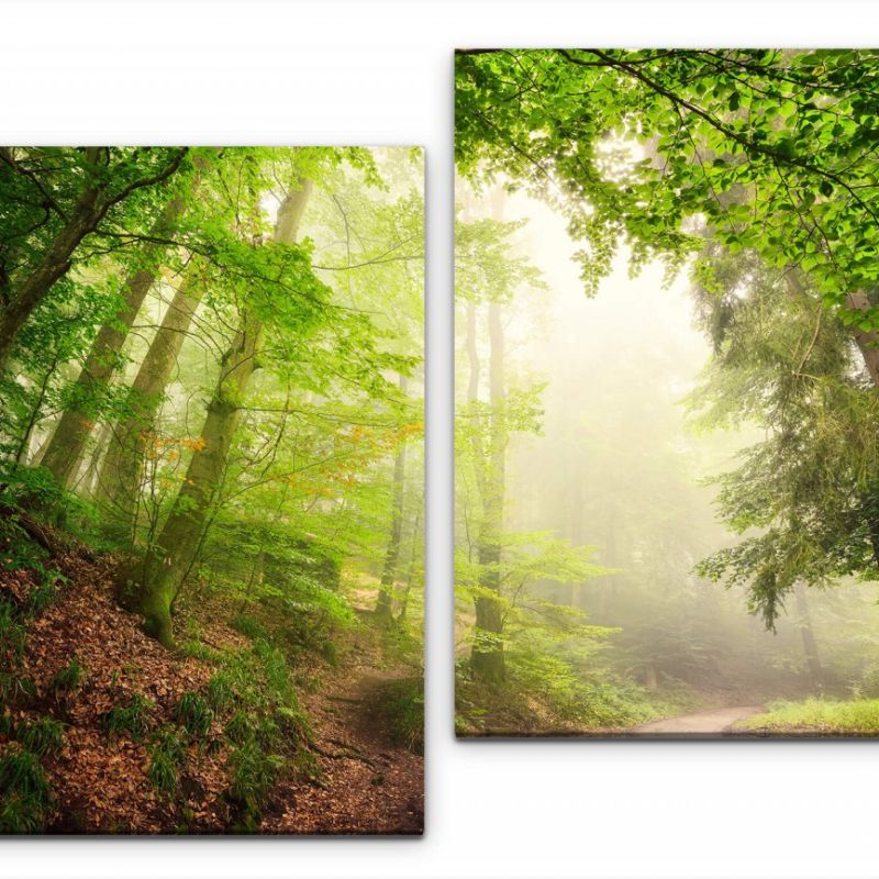 Wald mit Waldweg Wandbild in verschiedenen Größen