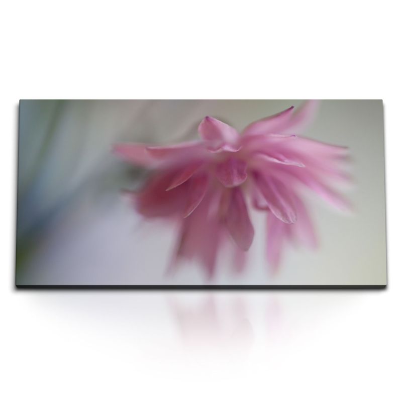 Kunstdruck Bilder 120x60cm Rosa Blume Blüte Fotokunst Natur