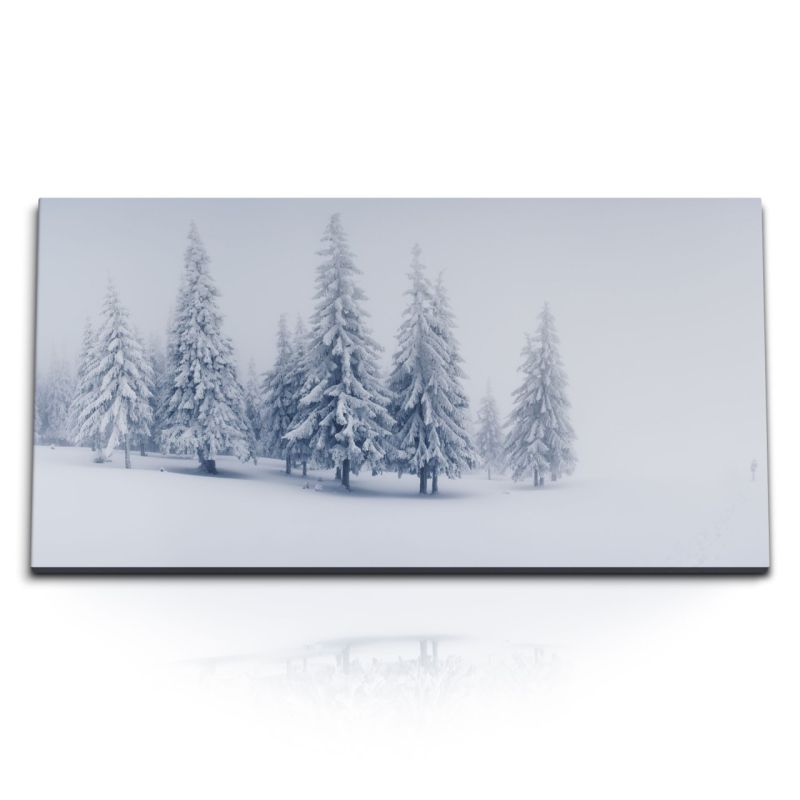 Kunstdruck Bilder 120x60cm Winter Schnee Tannenbäume Tannenwald Weiß