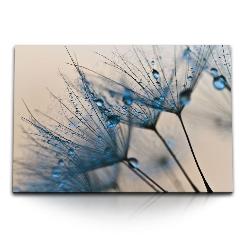 120x80cm Wandbild auf Leinwand Pusteblume Fotokunst Nahaufnahmen Makrofotografie Blau