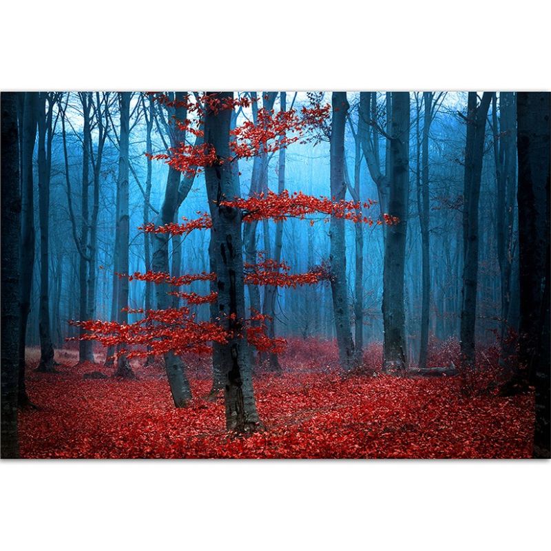 120x80cm Wald Bäume Blätter Nebel Herbst