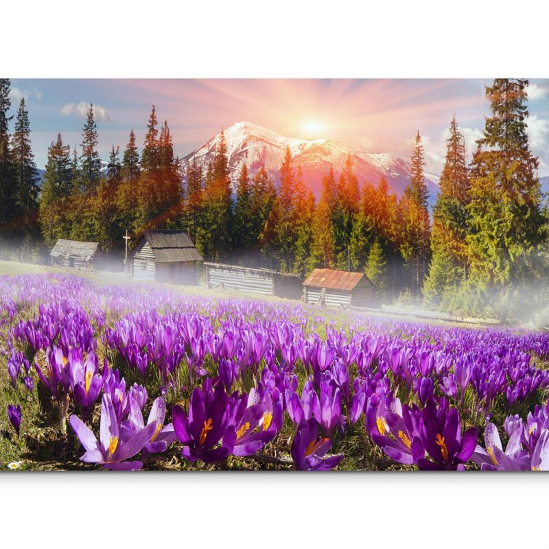 120x80cm Wandbild Ukraine Alpengipfel Bäume Blumen Morgensonne