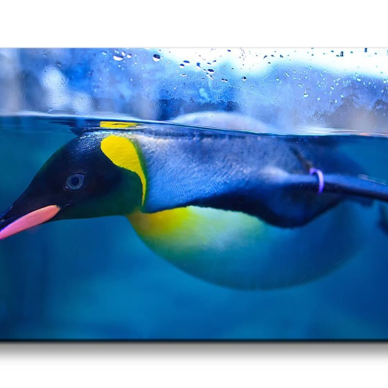 Leinwandbild 120x60cm Pinguin im Wasser Blau Gelb Fotokunst Tierfotografie