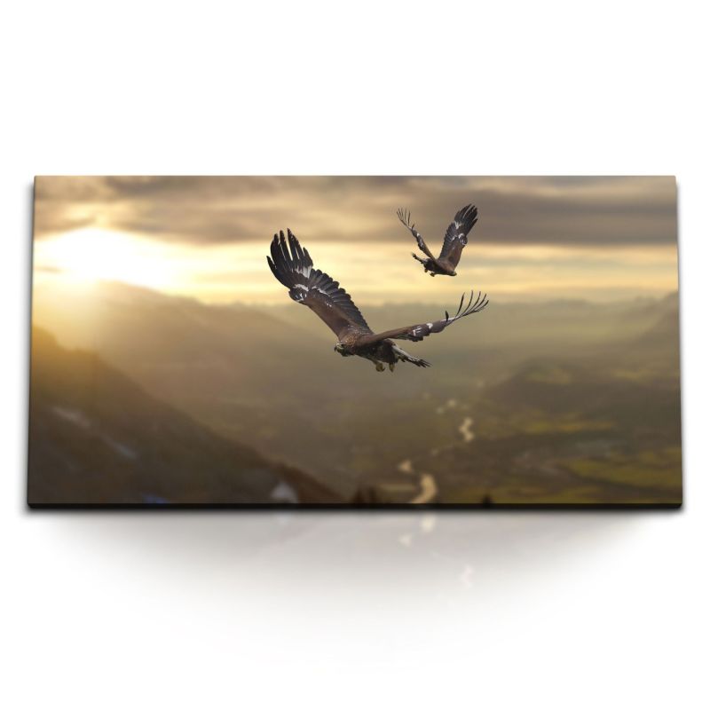 Kunstdruck Bilder 120x60cm Adler in der Luft Berge Natur Tierfotografie