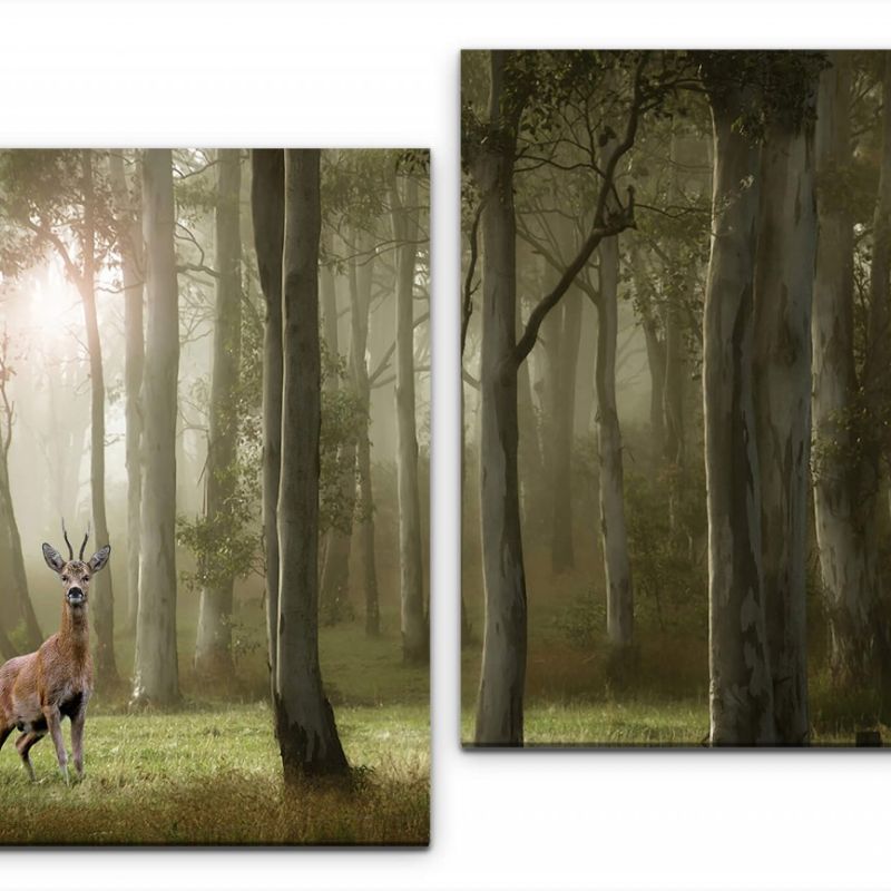 Wald mit Rehbock Wandbild in verschiedenen Größen