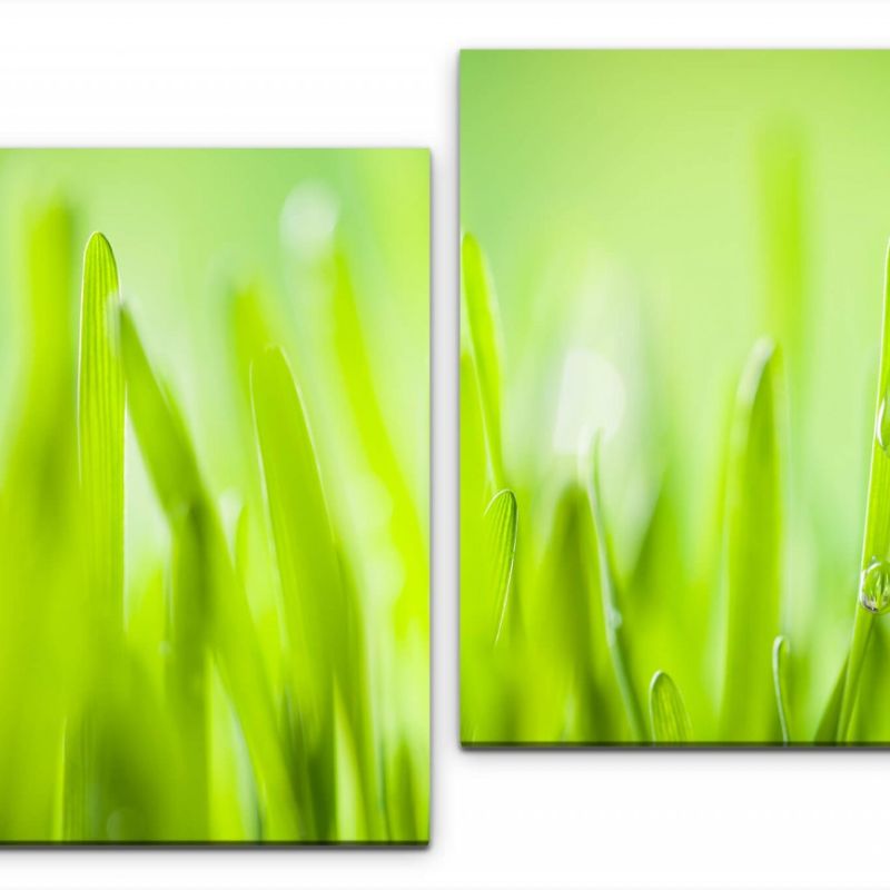 Grass Wandbild in verschiedenen Größen