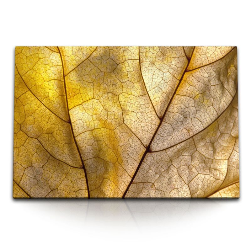 120x80cm Wandbild auf Leinwand Makrofotografie Herbstblatt Blattadern Fotokunst