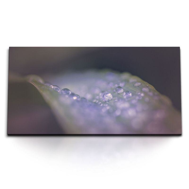 Kunstdruck Bilder 120x60cm Makrofotografie Blüte Wassertropfen Regentropfen