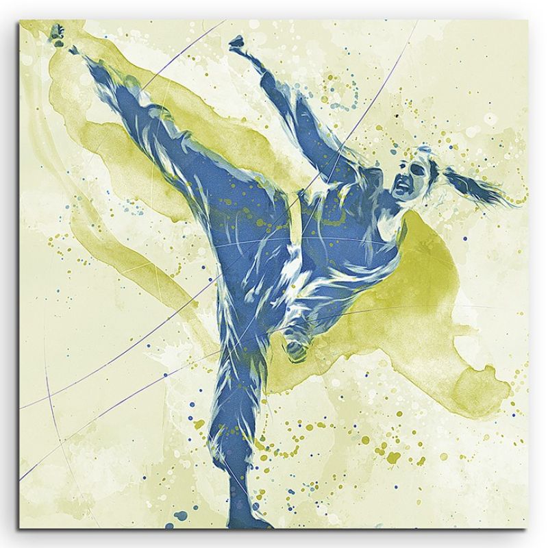 Karate 60x60cm SPORTBILDER Paul Sinus Art Splash Art Wandbild Aquarell Art