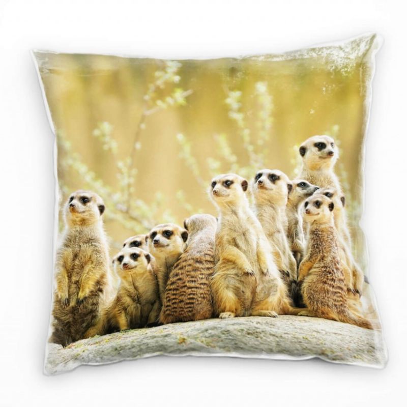 Tiere, braun, grün, Erdmännchen, Afrika, Wildnis Deko Kissen 40x40cm für Couch Sofa Lounge Zierkisse