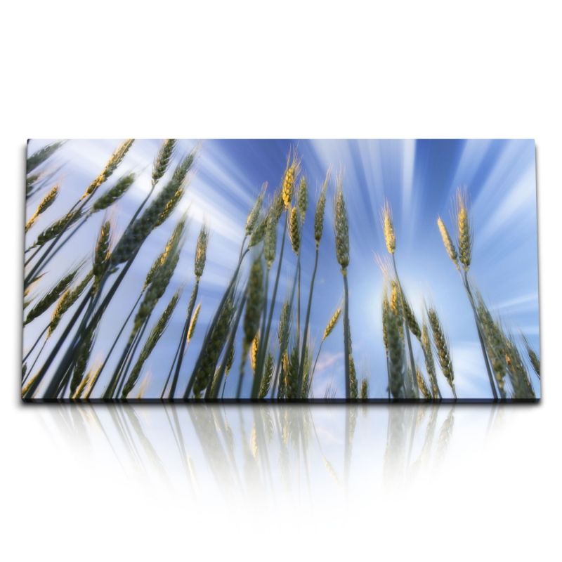 Kunstdruck Bilder 120x60cm Weizen Weizenfeld Halme Himmel Natur Sonnenschein