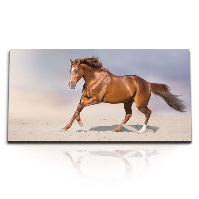 Kunstdruck Bilder 120x60cm Pferd Wild Wüste Tierfotografie Hengst