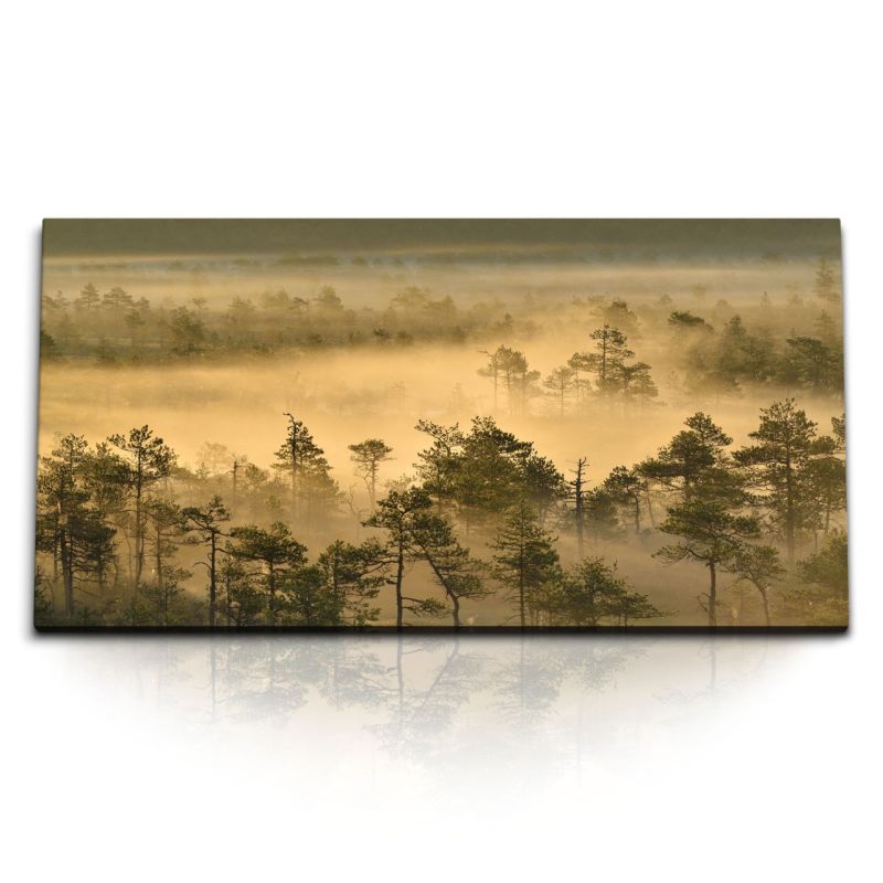 Kunstdruck Bilder 120x60cm Wald Morgentau Nebel Bäume Natur Braun