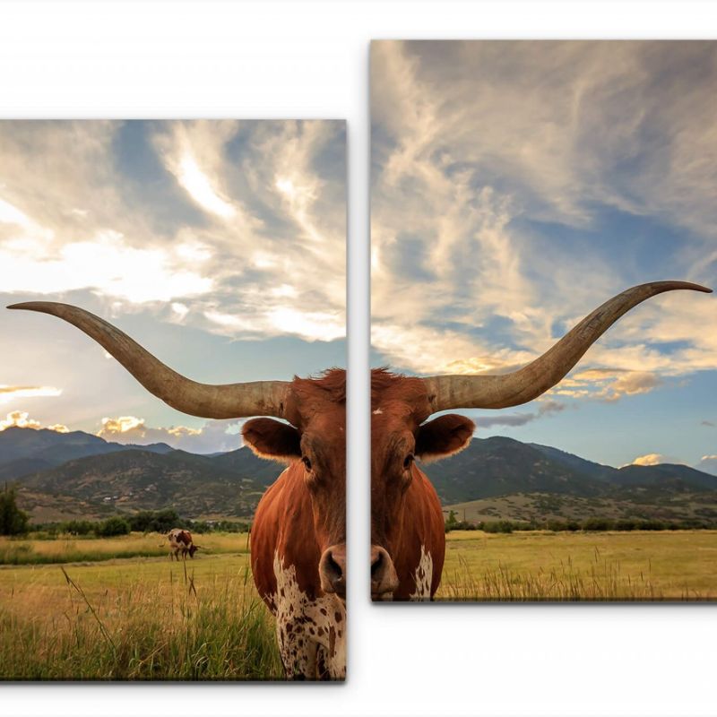 Texas Stier Wandbild in verschiedenen Größen