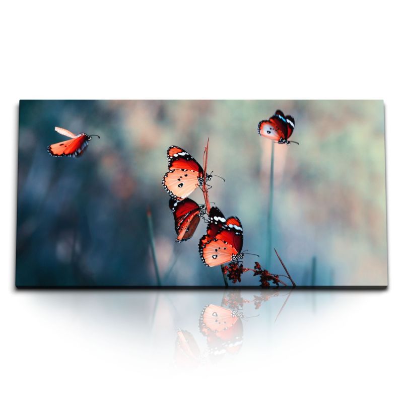 Kunstdruck Bilder 120x60cm Schmetterlinge Tierfotografie Natur Kunstvoll Frühling