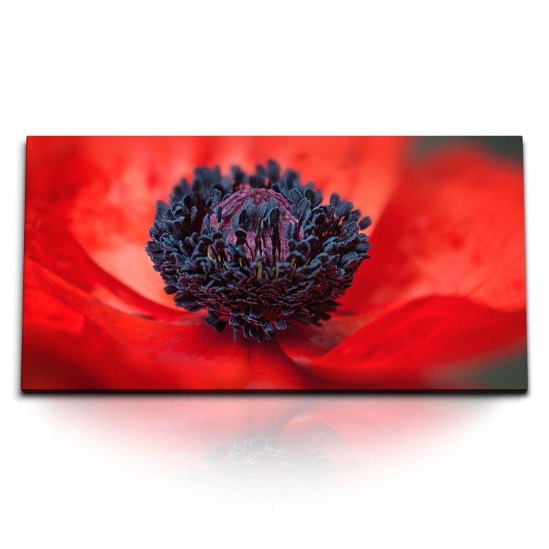 Kunstdruck Bilder 120x60cm Rote Mohnblume Wildblume Feldblume Blüte Blume