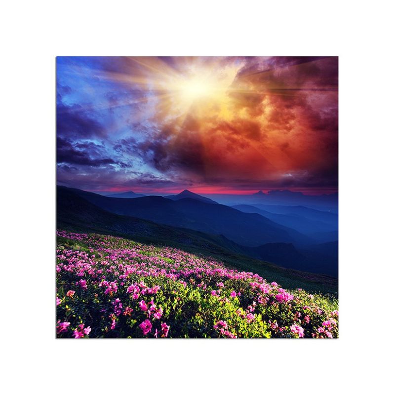 80x80cm Blumenwiese Berge Sonne Wolken Landschaft