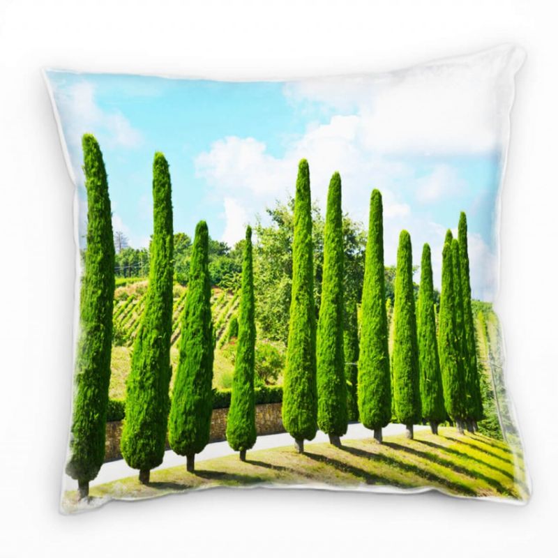 Landschaft, grün, blau, Allee, Weinstöcke Deko Kissen 40x40cm für Couch Sofa Lounge Zierkissen