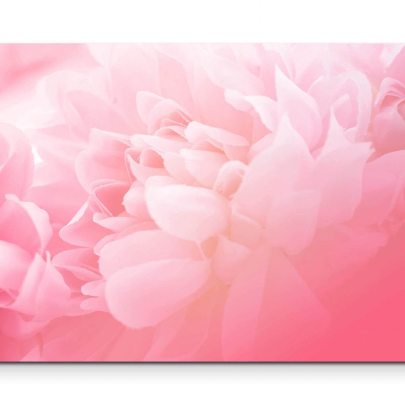 Florales Bild  soft und Rosa – Leinwandbild