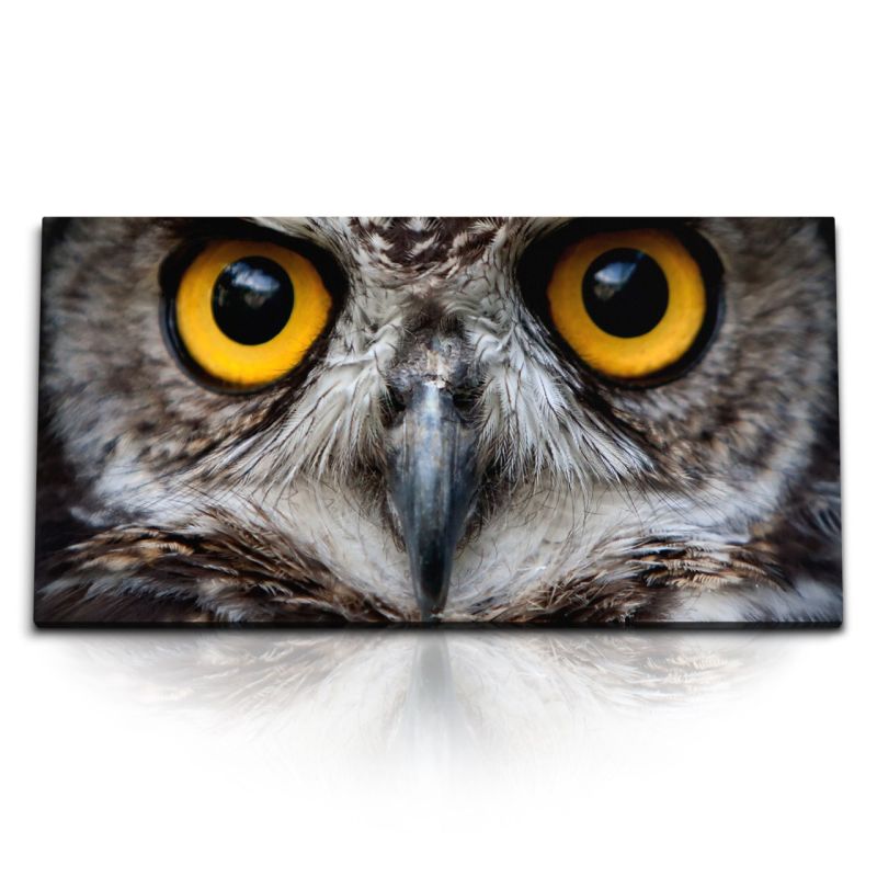 Kunstdruck Bilder 120x60cm Eule Eulenaugen Tierfotografie Eulenkopf Uhu