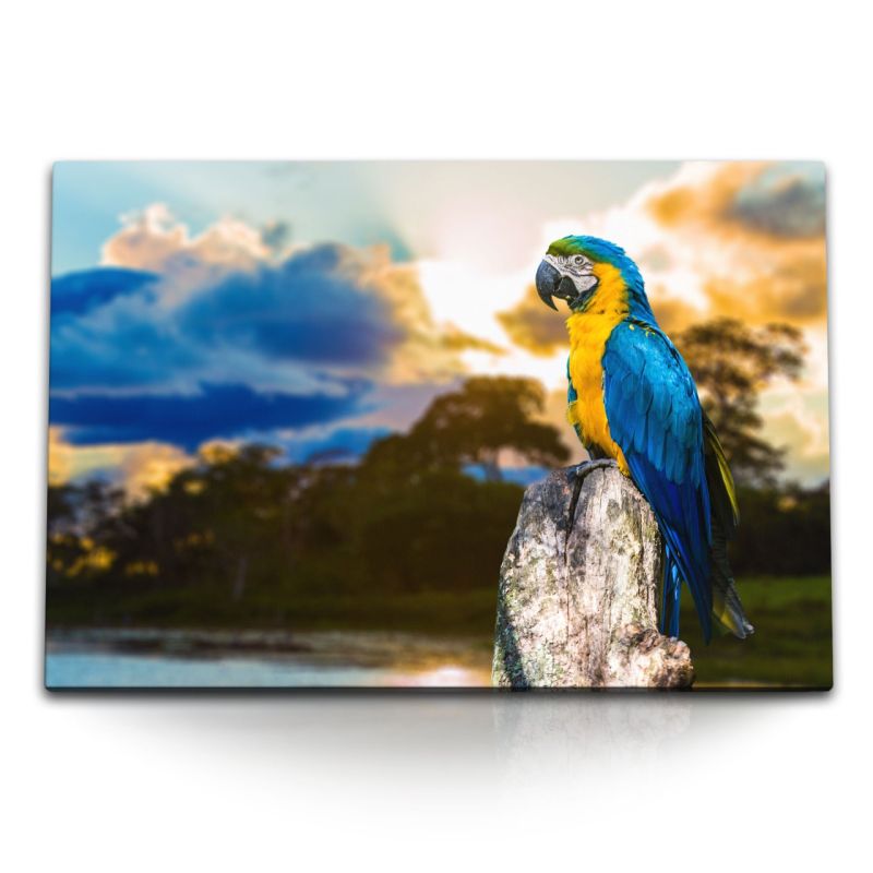 120x80cm Wandbild auf Leinwand Papagei Tierfotografie Exotisch Tropisch Meer Strand