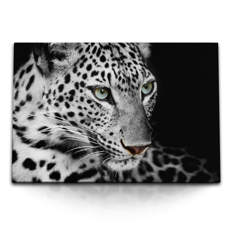 120x80cm Wandbild auf Leinwand Tierfotografie Raubkatze Jaguar Schwarz Weiß