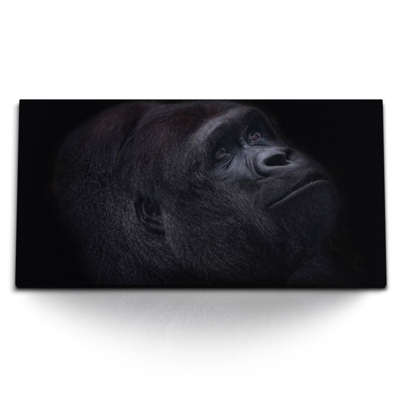 Kunstdruck Bilder 120x60cm Gorilla Porträt Schwarz Silberrücken Tierfotografie