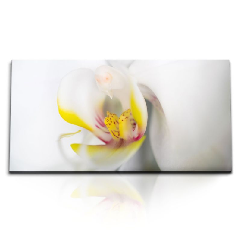 Kunstdruck Bilder 120x60cm Nahaufnahme Orchidee Blume Blüte Weiß Gelb