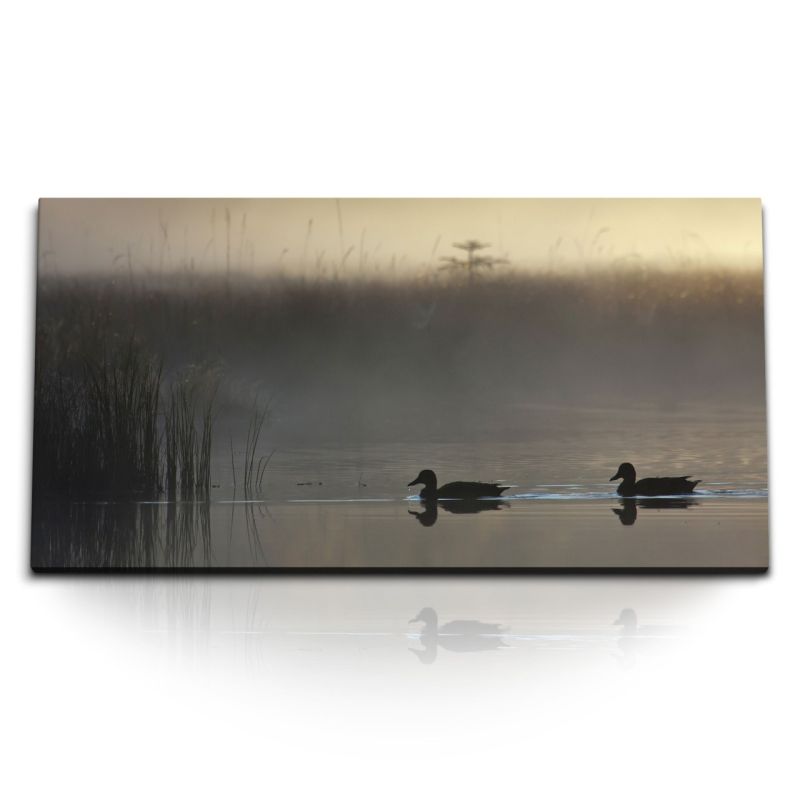 Kunstdruck Bilder 120x60cm Enten See Teich Ententeich Morgentau Nebel Natur