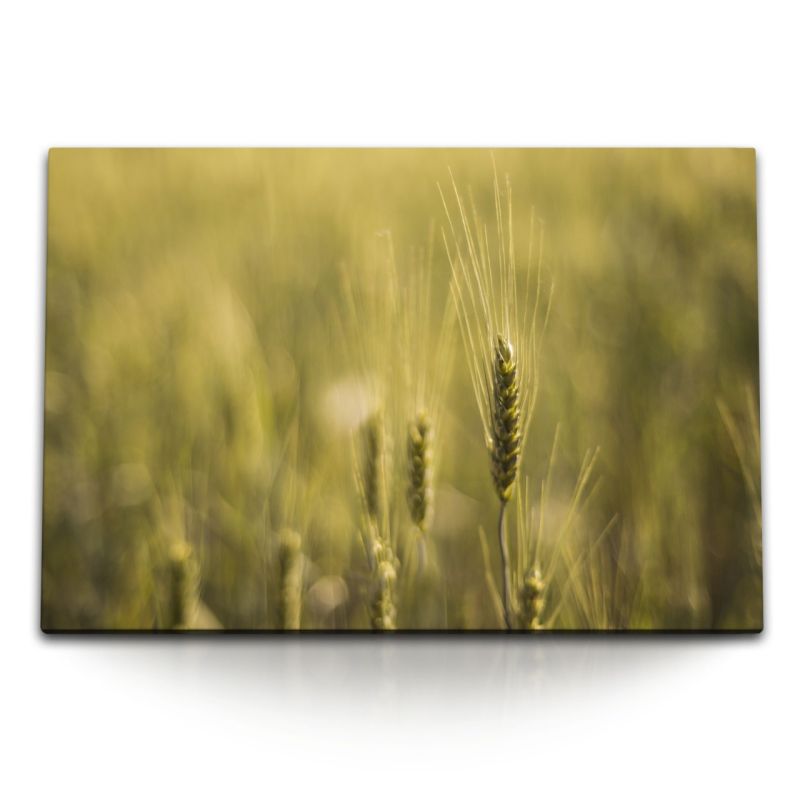 120x80cm Wandbild auf Leinwand Weizen Weizenfeld Feld Sommer Sonnenschein Natur