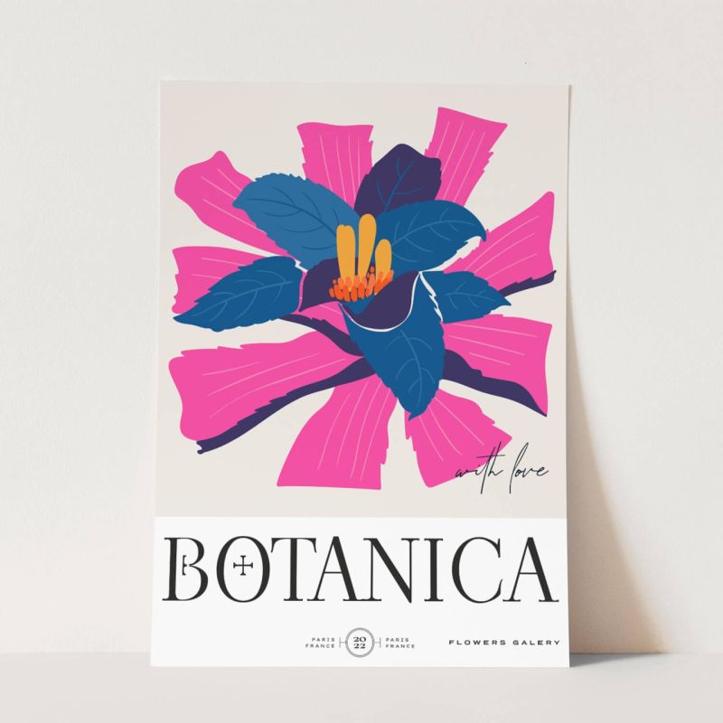 Botanica Wunderschöne Blumen Illustration Dekorativ Modern Farbenfroh