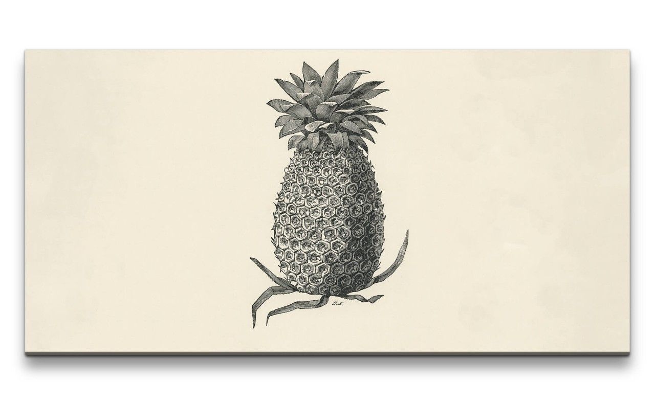 Remaster 120x60cm Alte Illustration Ananas Vintage Süden Sommer Dekorativ