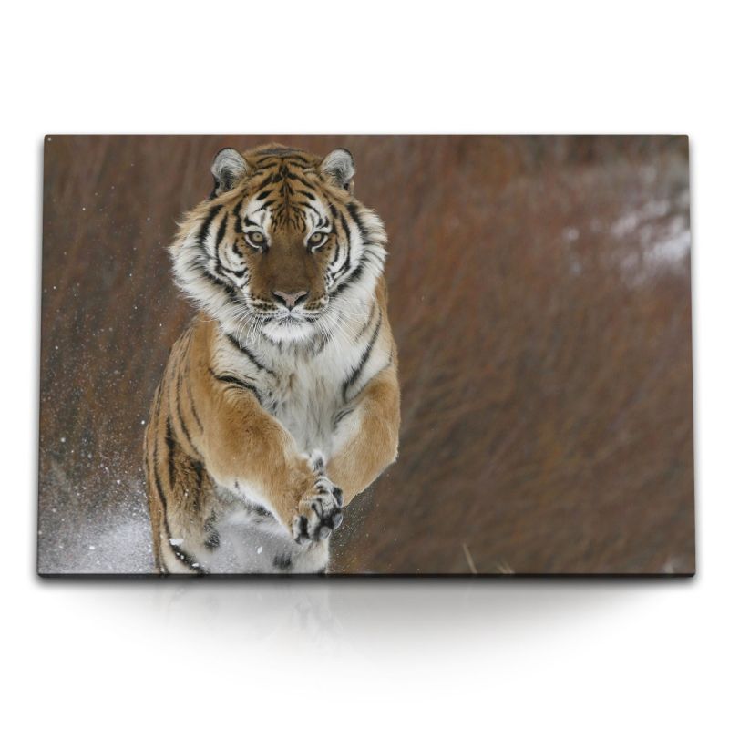 120x80cm Wandbild auf Leinwand Sibirischer Tiger Tierfotografie Schnee Natur Raubkatze