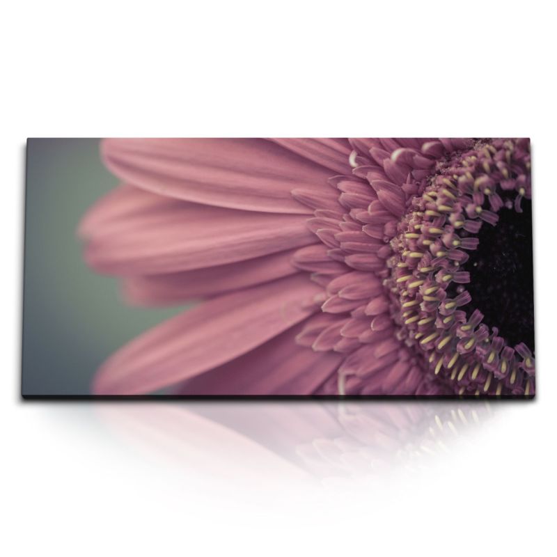 Kunstdruck Bilder 120x60cm Gerbera Blume Blüte Rosa Nahaufnahme Kunstvoll