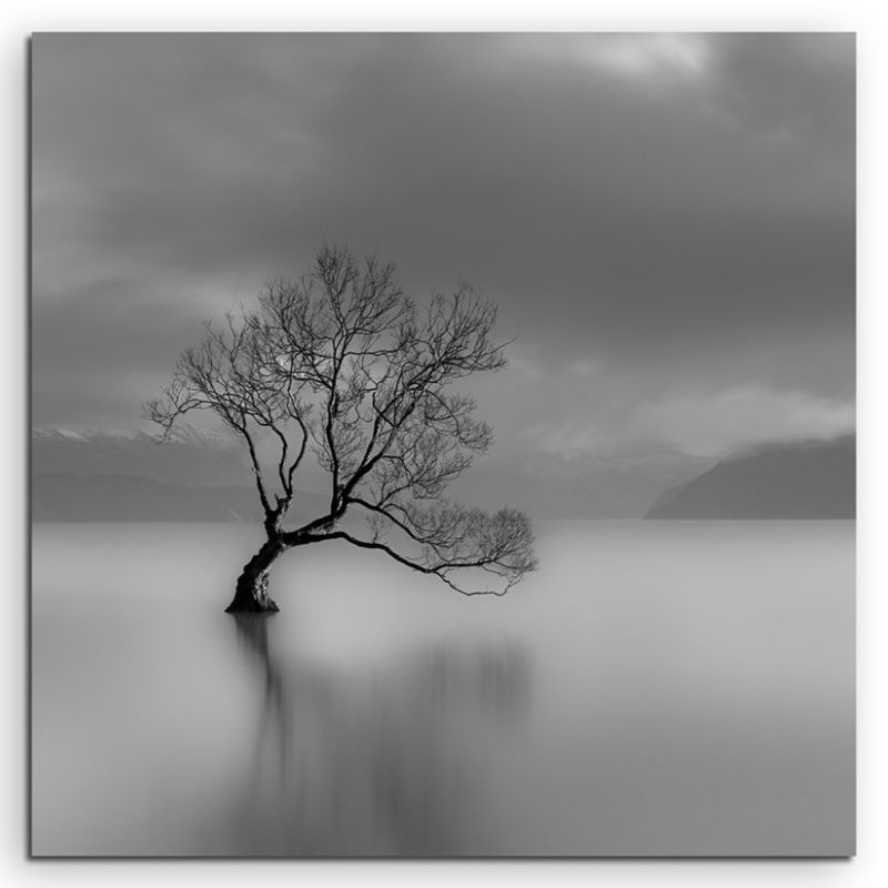 Landschaftsfotografie – Einsamer Baum am Wanaka See, Neuseeland auf Leinwand