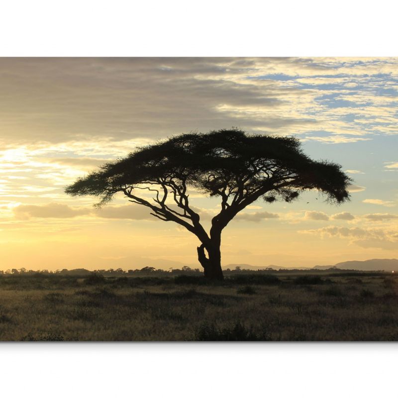 120x80cm Wandbild Afrika Savanne Baum Sonnenuntergang