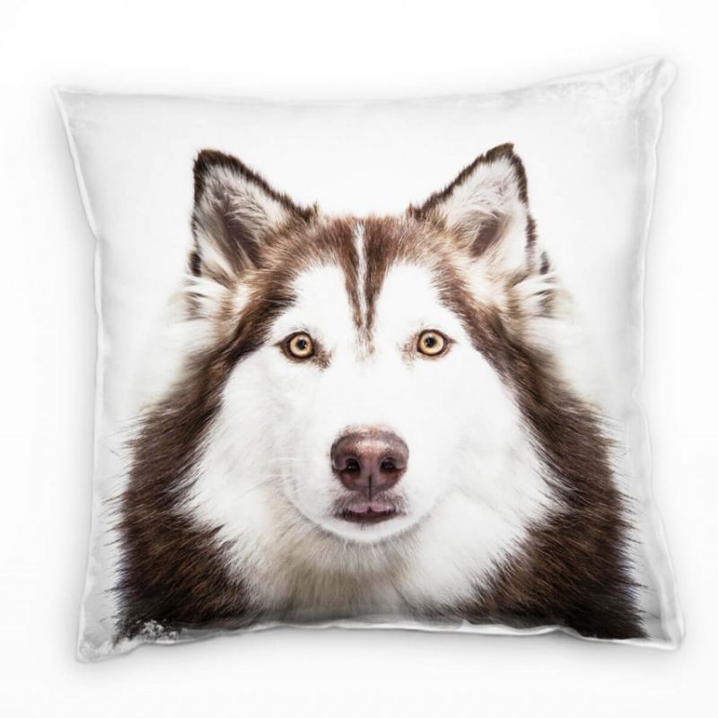 Tiere, Husky, weiß, braun, hell, künstlerische Fotografie Deko Kissen 40x40cm für Couch Sofa Lounge