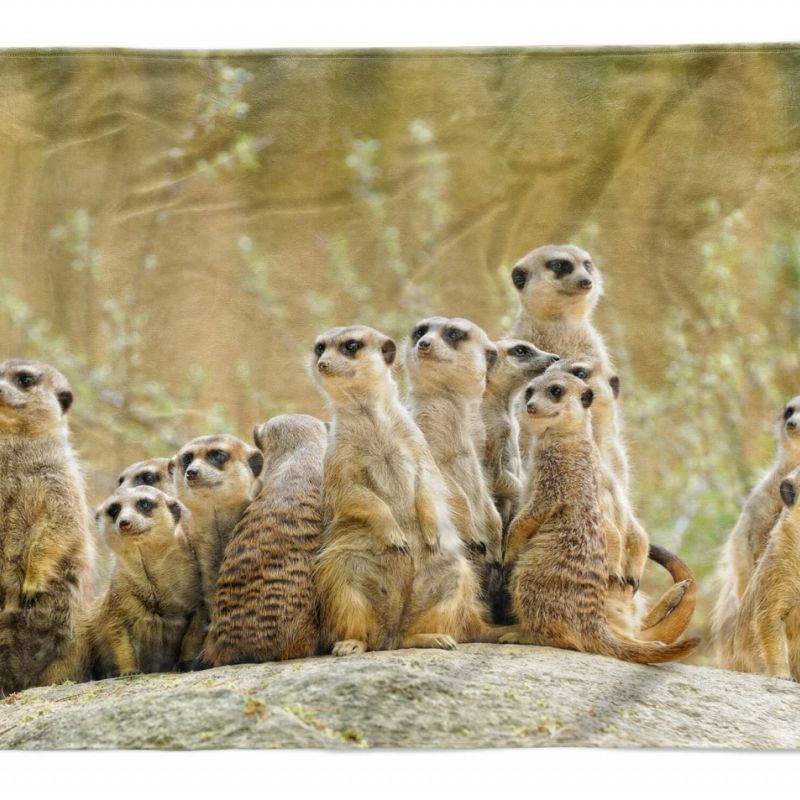 Handtuch Strandhandtuch Saunatuch Kuscheldecke  mit Tiermotiv Erdmännchen Famili